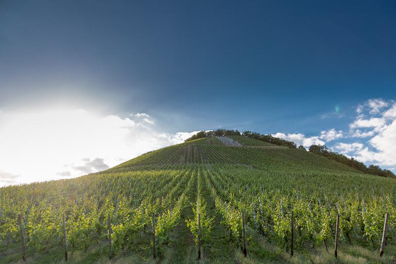 Weinhotel Ayler Kupp Luaran gambar