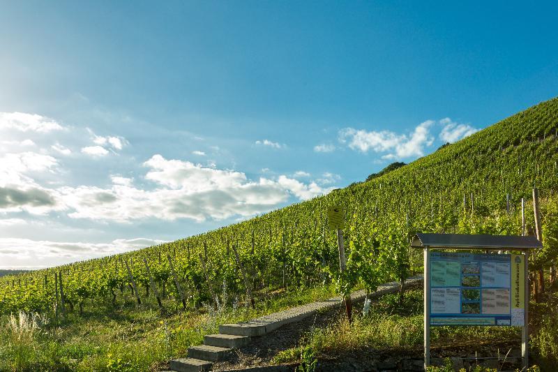 Weinhotel Ayler Kupp Luaran gambar